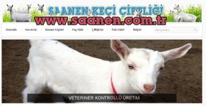 Saanen keçi çiftliği, www.saanen.com.tr